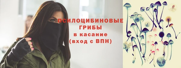 2c-b Дмитриев