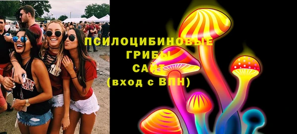 гидра Дмитровск