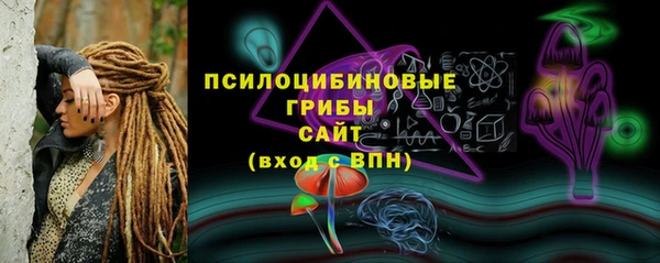 гидра Дмитровск